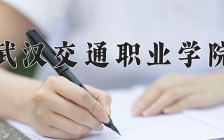 辽宁考生多少分能上武汉交通职业学院？2025最低317分