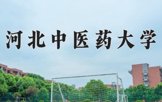河北中医药大学2024年各学科排名一览表！附教育部评级比例