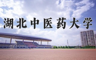 湖北中医药大学怎么样？全国排名第几位
