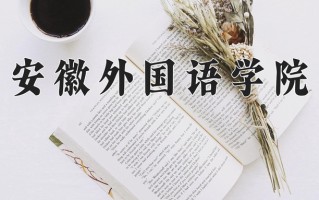 安徽外国语学院最厉害的专业-2024安徽外国语学院最好专业