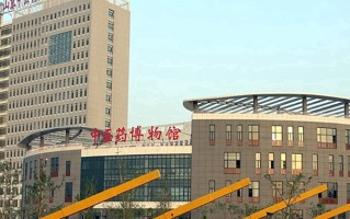 四川455分能上什么好大学？附2025年可以报考的大学名单