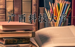 2024广西科技大学录取分数线，重庆录取最低分507
