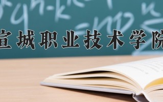 2025年宣城职业技术学院在四川计划招生人数（附学费及专业录取分)