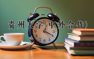 2024贵州大学(中外合作)录取分数线，重庆录取最低分515