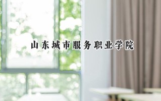 2024山东城市服务职业学院录取分数线：河南最低197分