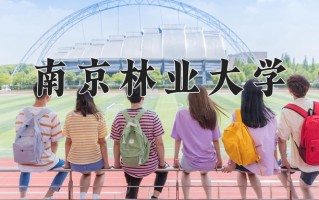 青海435分能上什么好大学？附2025年可以报考的大学名单