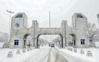 哈尔滨理工大学王牌专业排名-含2025年全国各省录取最低分数线