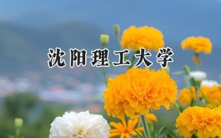 2024沈阳理工大学录取分数线：河南最低513分