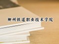 柳州铁道职业技术学院2024在青海录取分数线是多少？最低307分/最高376分