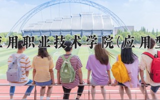 2024年新疆应用职业技术学院(应用型本科)录取分数线，新疆最低244分