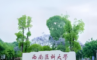 西南医科大学2024年各学科排名一览表！附教育部评级比例