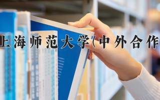 2024上海师范大学(中外合作)录取分数线，重庆录取最低分515
