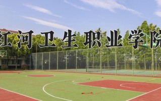 辽宁考生多少分能上红河卫生职业学院？2025最低308分