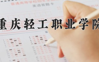 辽宁考生多少分能上重庆轻工职业学院？2025最低221分