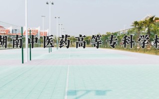 2025年湖南中医药高等专科学校在四川计划招生人数（附学费及专业录取分)