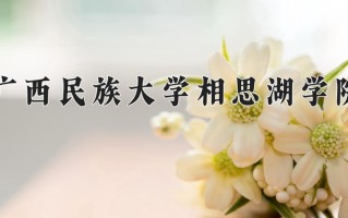 广西民族大学相思湖学院王牌专业排名-含2024年全国各省录取最低分数线