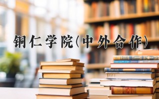 2025年铜仁学院(中外合作)在重庆计划招生人数（附学费及专业录取分)