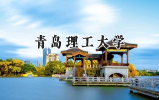 青岛理工大学2024在山东录取分数线是多少？最低445分/最高565分