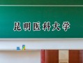 昆明医科大学2024在山东录取分数线是多少？最低501分/最高597分
