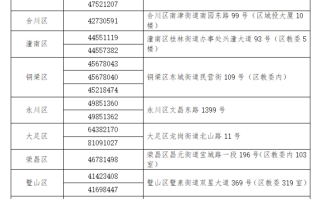 重庆市2024年普通高考报名咨询电话