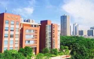 2024重庆电讯职业学院录取分数线，重庆录取最低分180