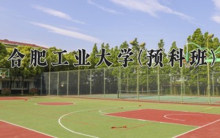 2024合肥工业大学(预科班)录取分数线，重庆录取最低分568