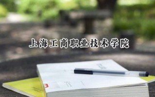 2024上海工商职业技术学院录取分数线：江苏最低263分