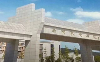 2024年南阳职业学院录取分数线，河北最低317分