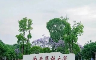 2024年江苏高考440分左右能报考上什么大学（物理类）