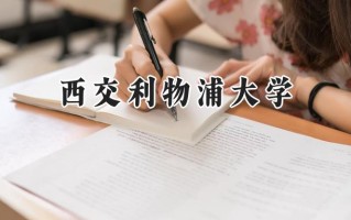 西交利物浦大学2024在福建录取分数线是多少？最低553分/最高588分