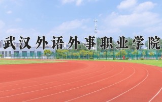 武汉外语外事职业学院学费多少钱一年：8000-12000元/年（2025填报参考）