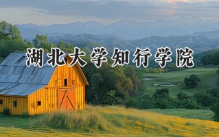 湖北大学知行学院2024在内蒙古录取分数线是多少？最低369分/最高446分