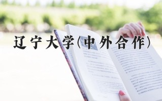 2024辽宁大学(中外合作)录取分数线，重庆录取最低分531