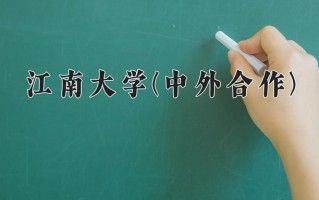 2024江南大学(中外合作)录取分数线，重庆录取最低分567