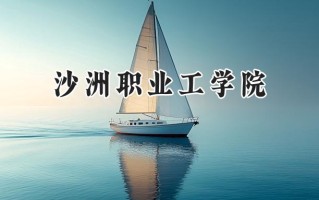 2024沙洲职业工学院录取分数线：江苏最低392分