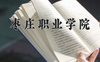 2025年枣庄职业学院在四川计划招生人数（附学费及专业录取分)