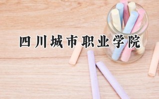 四川城市职业学院2024在浙江录取分数线是多少？最低269分/最高417分