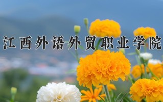 2025年江西外语外贸职业学院在四川计划招生人数（附学费及专业录取分)