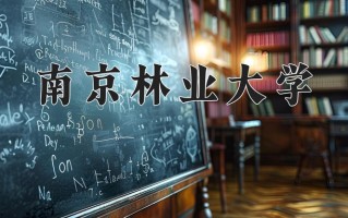 智能车辆工程专业学费多少？附江苏2024年招收的大学