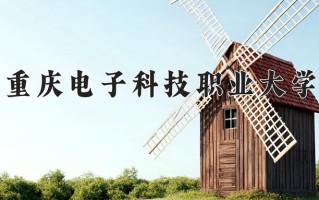 2024重庆电子科技职业大学录取分数线，重庆录取最低分415