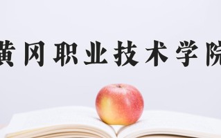2025年黄冈职业技术学院在四川计划招生人数（附学费及专业录取分)
