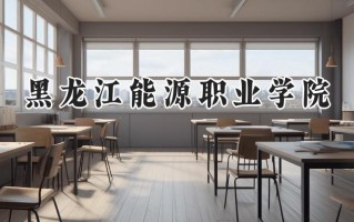 2024黑龙江能源职业学院录取分数线：河南最低165分