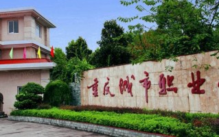 2024年重庆城市职业学院录取分数线，河北最低402分
