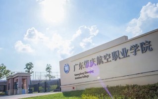 定翼机驾驶技术专业2025年广东招生院校有哪些？含学费及招生人数