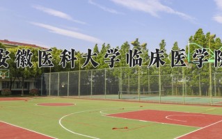 安徽医科大学临床医学院最厉害的专业-2024安徽医科大学临床医学院最好专业