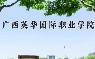 2024广西英华国际职业学院录取分数线，重庆录取最低分180