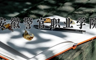 2025年安徽警官职业学院在四川计划招生人数（附学费及专业录取分)