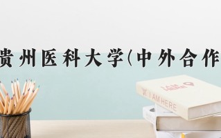 2025年贵州医科大学(中外合作)在重庆计划招生人数（附学费及专业录取分)
