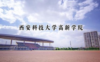 2024西安科技大学高新学院录取分数线：宁夏最低342分