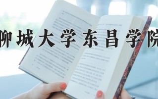 聊城大学东昌学院王牌专业排名-含2024年全国各省录取最低分数线